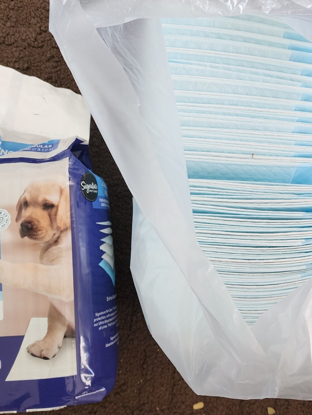 Disposable Puppy Training Pads - Light Blue